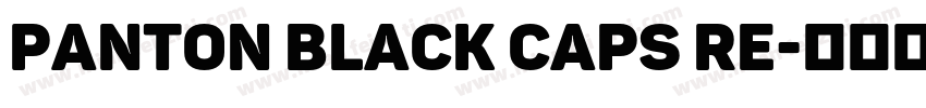 Panton Black Caps Re字体转换